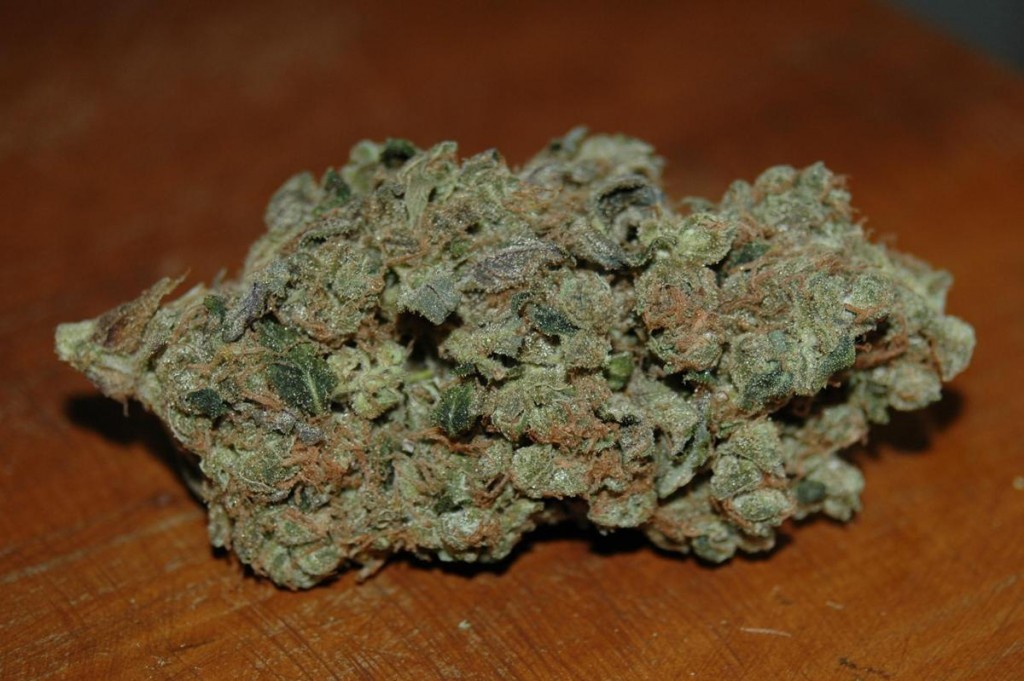 Sour Jack Strain Review