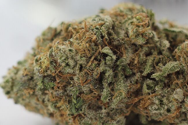 Alien OG strain effects, benefits, lineage, phenotypes, flavor, color and o...