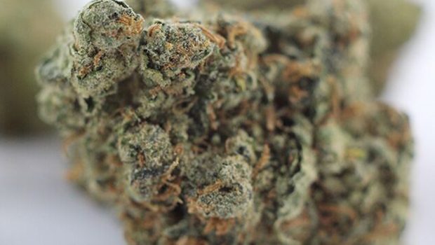 herojuana strain review