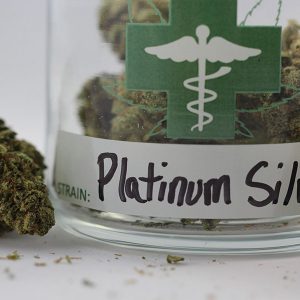 platinum silver strain review