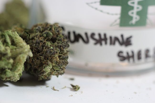 sunshine sherbet marijuana review