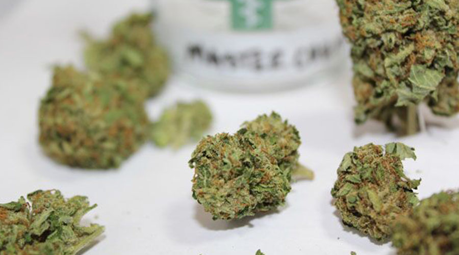 master chem marijuana review