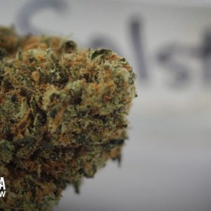 Solstice Strain Review