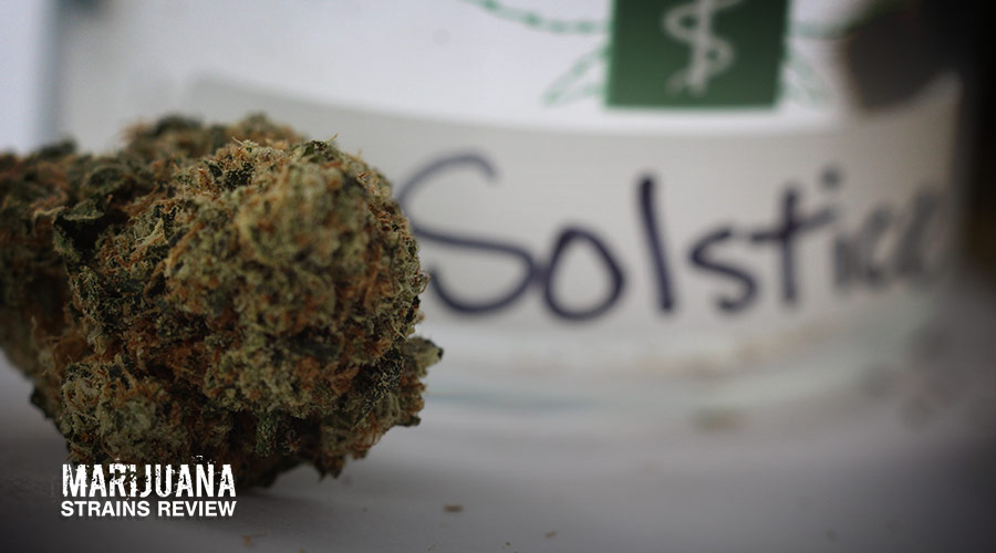 Solstice marijuana strain review