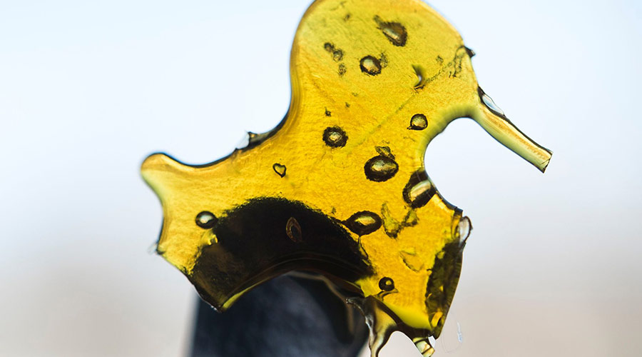 Shatter Dabs Concentrates