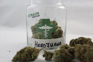 herijuana marijuana strain review