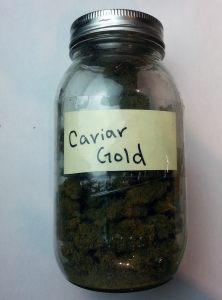 Caviar Gold 3