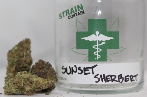 Sunset-Sherbert-Strain-Contain