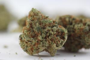 rock-candy-kush-marijuana-review